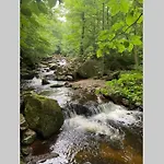 شقة Schoenes Ruhiges App Mit Panoramablick Auf Den Harz *