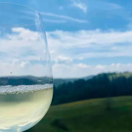 Schoenes Ruhiges App Mit Panoramablick Auf Den Harz