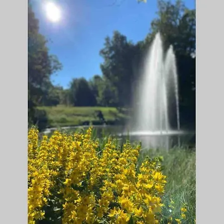 דירה Schoenes Ruhiges App Mit Panoramablick Auf Den Harz