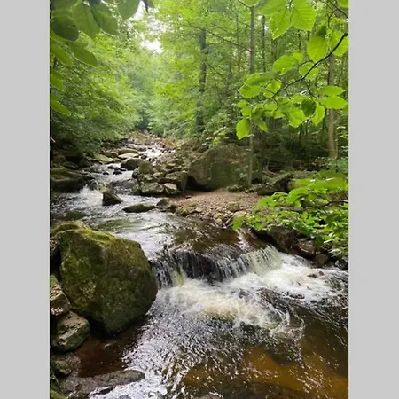 아파트 Schoenes Ruhiges App Mit Panoramablick Auf Den Harz *