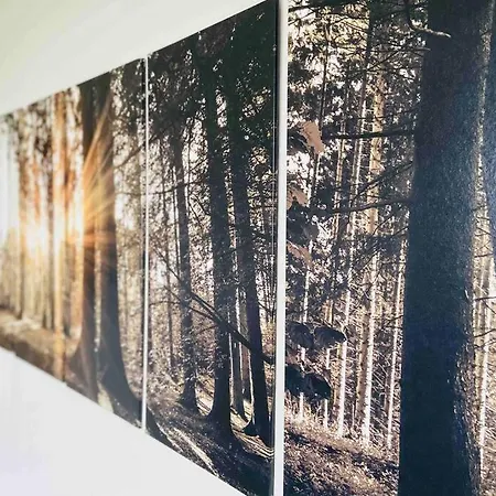 Schoenes Ruhiges App Mit Panoramablick Auf Den Harz * 브라운라제