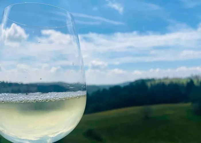 Schoenes Ruhiges App Mit Panoramablick Auf Den Harz