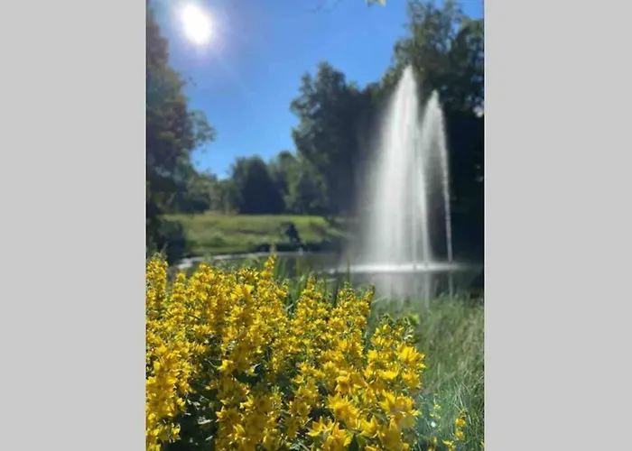Daire Schoenes Ruhiges App Mit Panoramablick Auf Den Harz