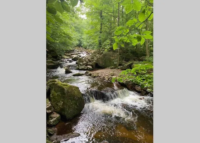 Daire Schoenes Ruhiges App Mit Panoramablick Auf Den Harz *