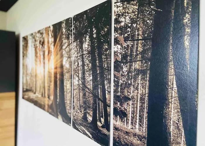 Schoenes Ruhiges App Mit Panoramablick Auf Den Harz * Braunlage