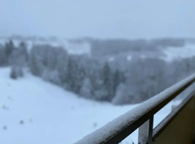 Schoenes Ruhiges App Mit Panoramablick Auf Den Harz Daire *